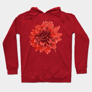 Dahlia Hoodie